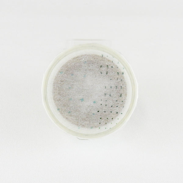 Round Top x Chamil Garden Washi Tape - 123