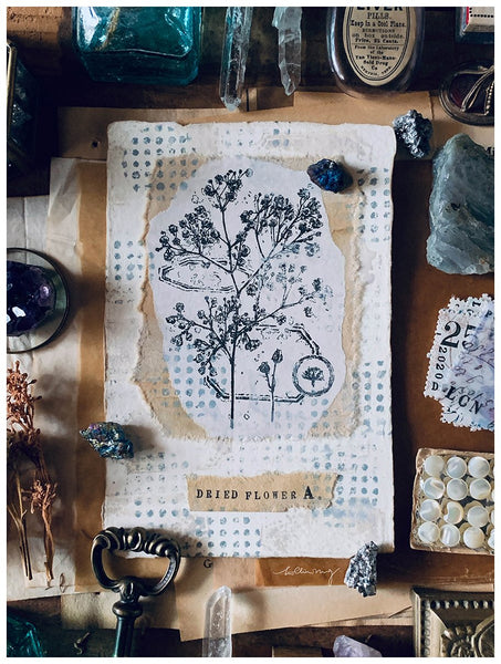 LCN Dried Flower Stamp Set A