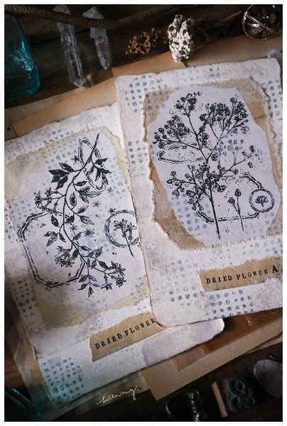 LCN Dried Flower Stamp Set A