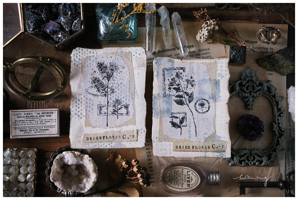 LCN Dried Flower Stamp Set C