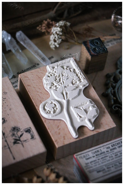 LCN Dried Flower Stamp Set C