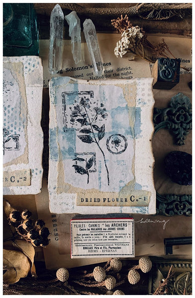 LCN Dried Flower Stamp Set C
