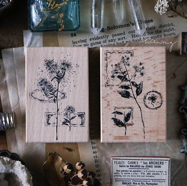 LCN Dried Flower Stamp Set C