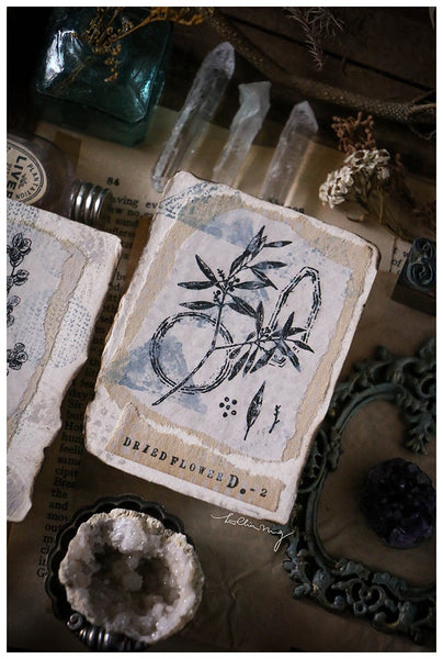 LCN Dried Flower Stamp Set D