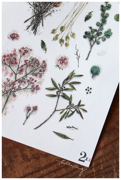 LCN Print-on Stickers - Dried Flower
