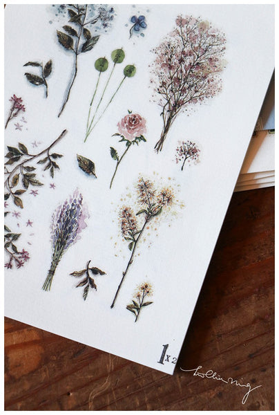 LCN Print-on Stickers - Dried Flower
