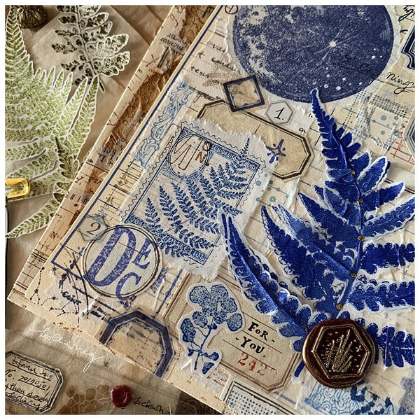 LCN Gummed Label Set - Specimen Labels No.1