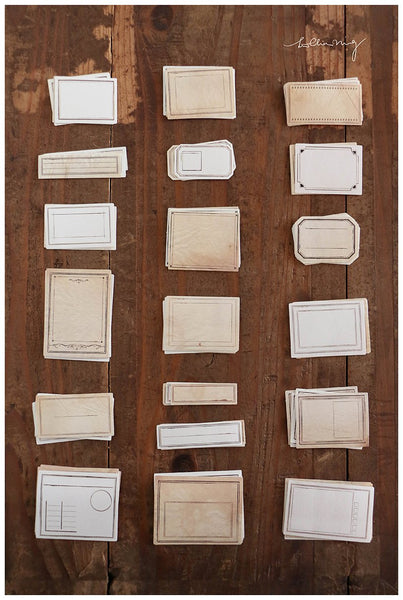 LCN Gummed Label Set - Specimen Labels No.2