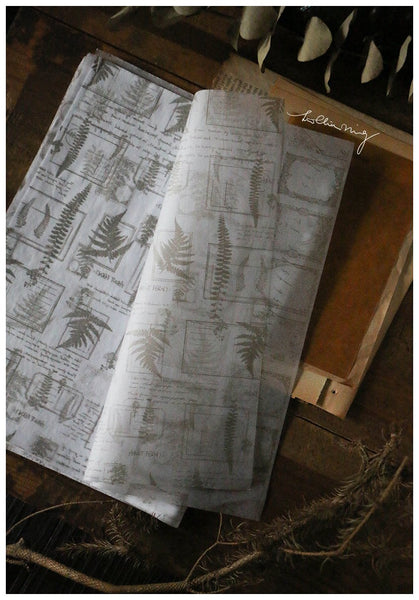 LCN Thin Wrapping Paper Set