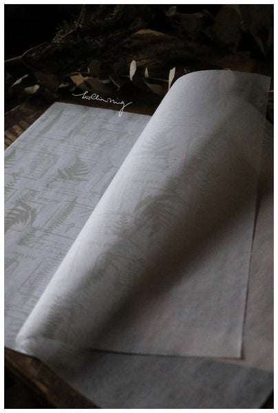 LCN Thin Wrapping Paper Set