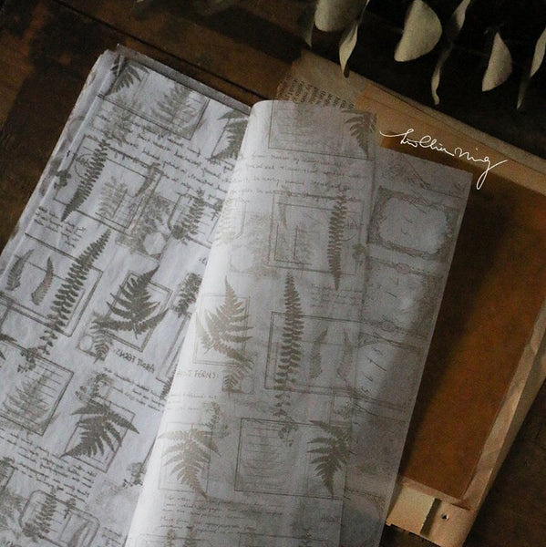 LCN Thin Wrapping Paper Set