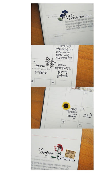 Suatelier Sticker - The Secret Garden