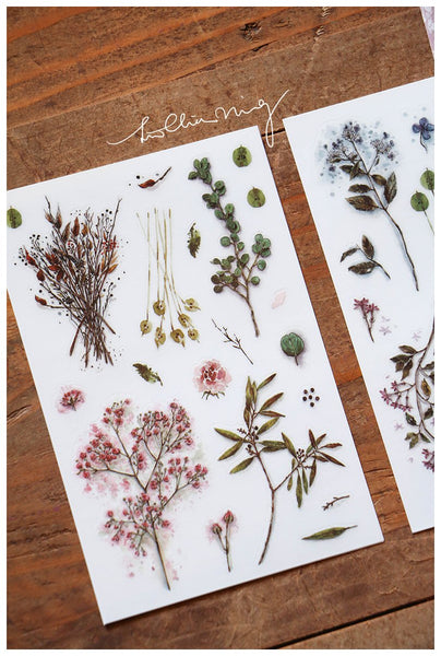 LCN Print-on Stickers - Dried Flower